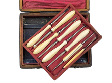 Load image into Gallery viewer, Dental Scaling Kit