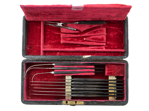 Leather Cased Dissecting Set