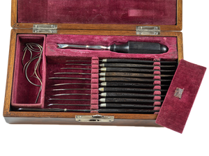 Minor Surgical Set with Provenance by Tiemann