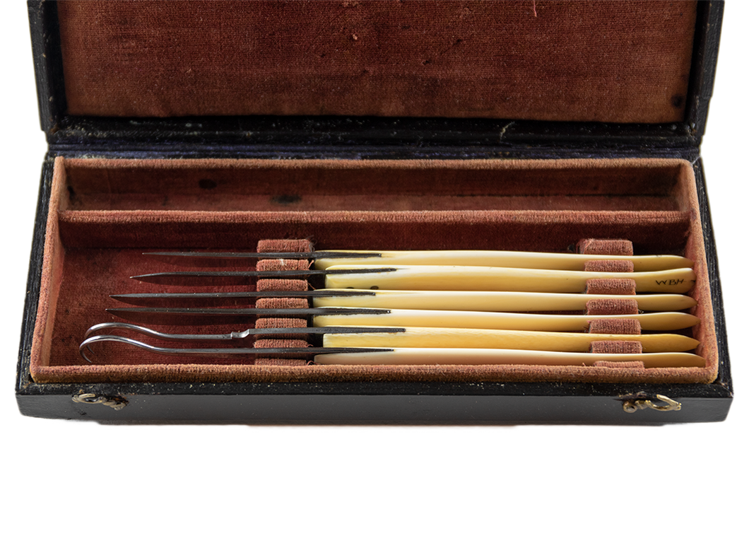 Unmarked Set of Ivory Dissecting Instruments