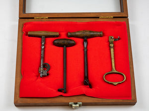 Display Box Holding 4 Different Style Tooth Keys