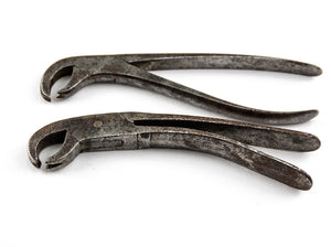 Two Hand Forged Dental Forceps