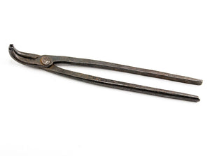 Early Hand Forged Dental Forcep