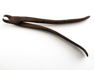 Hand Forged Iron Dental Forcep