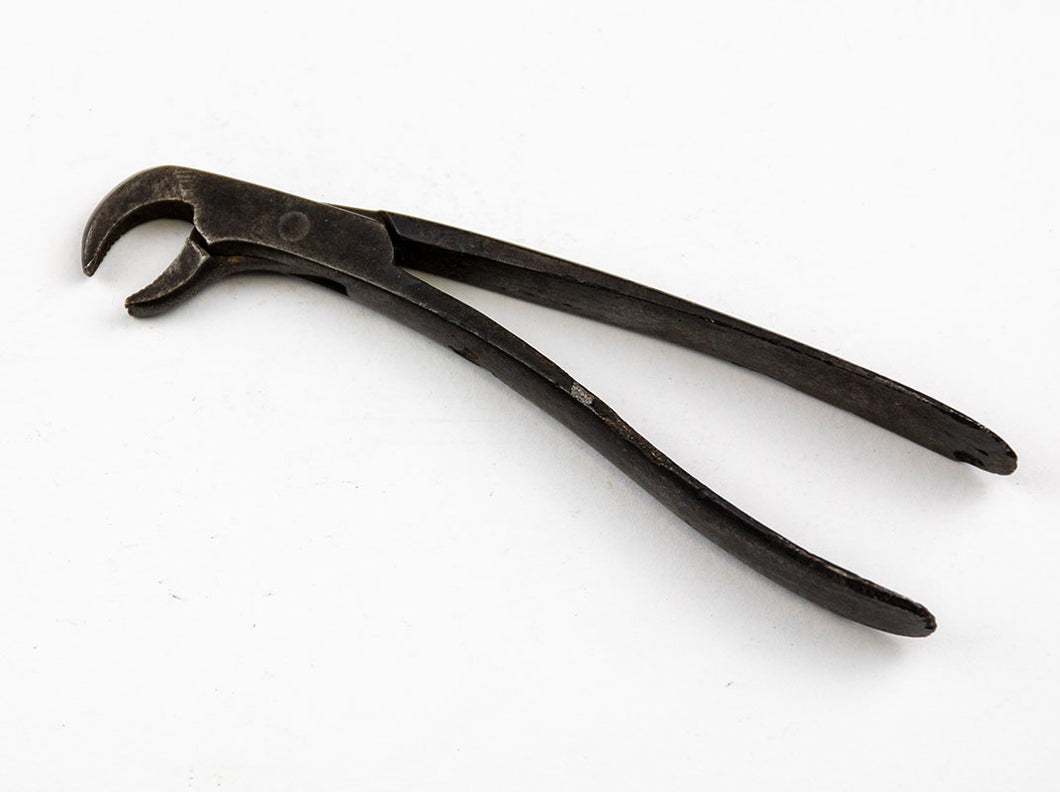 Early Hand Forged Smaller Dental Forcep