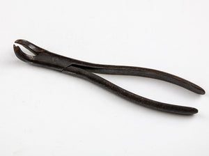 Early Unmarked Dental Forcep