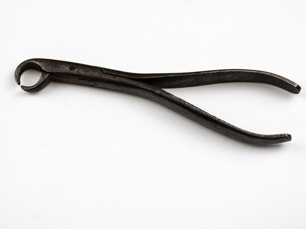 Early Hand Forged Dental Forcep