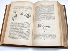 Load image into Gallery viewer, A System of Practical Surgery by William Ferguson,  2nd American Edition 1845
