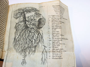 Ancient Book ..in Latin.. Microcosmvs Hypochondriaca 1652