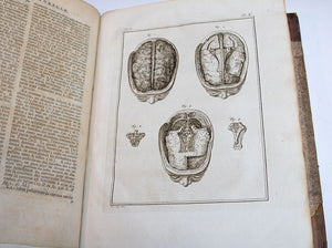 Histoire Naturelle Nouvelle Edition. by Buffon & Daubenton. French. 1766