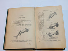Load image into Gallery viewer, Practical Surgery by J. Ewing Mears. 1878.
