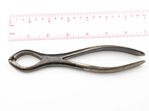 Lion-Jaw Bone Holding Forcep