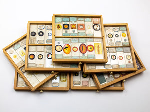 Box Full of Antique Microscope Slides